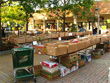 Books, books, and more books