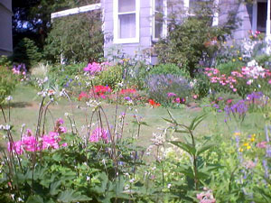 local house garden