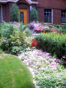 local house garden