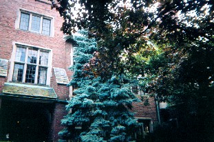 Quadrangle Club views-1155 E. 57th