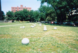Cleared area that was to be a reserve for Ray Elementary School in the 5600 block between Kimbark and Kenwood. It was kept as an open school yard; area to left became Bixler Playlot. 