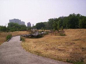 South to the boardwalk from the oak savanna prairie