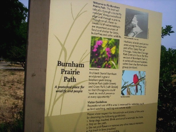 Sign about prairie path going through butterfly meadow, woodland edge, prairie and pseudowetand praires. This area is important to birds, butterflies, insects, reptiles.... This is an attempt to fulfil part of Burnham's plan. Sign discusses visitor guidelines an shows buterlies on plants, a northern cardinal, and a 1935 area of this part of the lakefdront..
