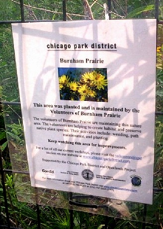 Burnham Prairie sign, "planted and maintianed by the Volunteers"