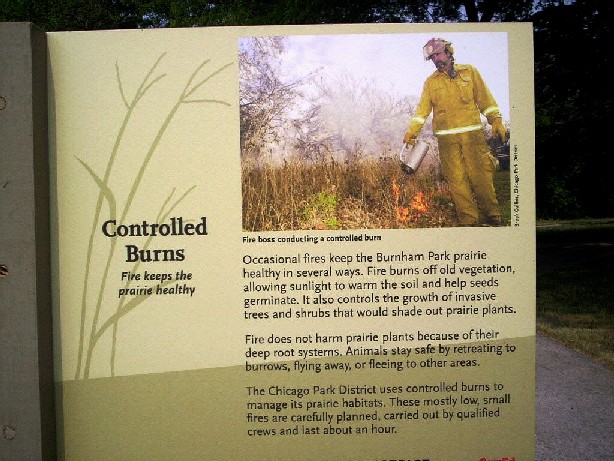 Controlled burn rationale; burns not done now.