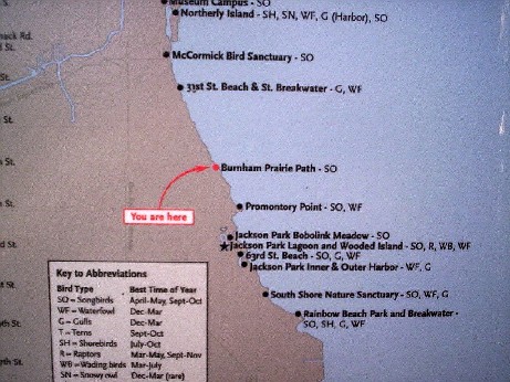 South part of the Lakefdront Bird Trail