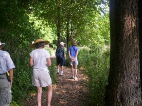 Up the woodchip side trail, led by George Davis. Summer Solstice Walk, June 2005