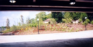 Looking  west through 57th underpass over walk, new plantings, to Iowa Buiilding