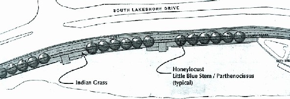 Sketch of 57h boarwalk and plantings