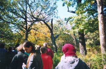 Clearing on the south end of the island