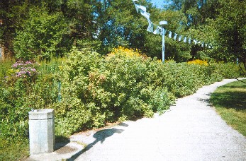 Drinking fountain at the southeast corner of the Nichols Wildflower Meadow