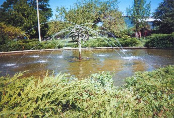 Nichols views-Wolniak Mem. Fountain