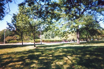 Nichols south end