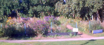Nichols Meadow Sept 2002