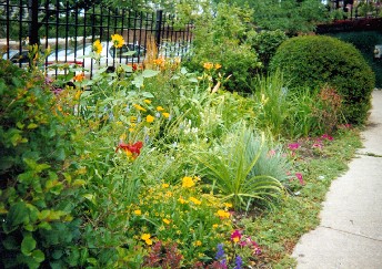 The Garden Fair Committtee takes care of this garden at  the 53rd/Lake Park City Garage. It's oftne much better than this.