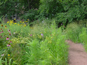 Nichols Meadow- 2002?