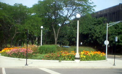 55th St. berm gardens, north side 55th University to Drexel