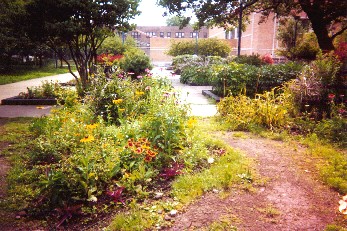 Nichols Formal Garden and transition to fieldhouse plaza as in 2003 and 2004.