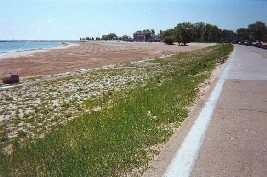 63rd paver beach as in 2002