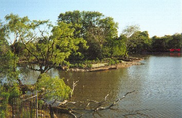 Restored islet north part of East Lagoon with fence from spill dam