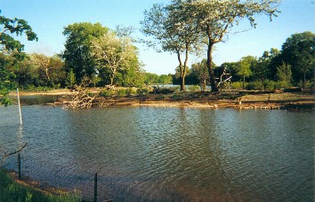 Restored and new islets in East Lagoon.