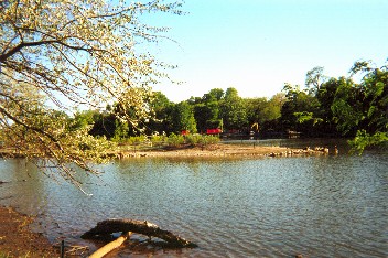 Islet in East Lagoon. Osaka Garden is on far shore