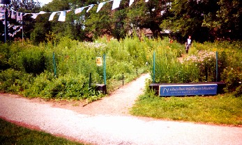 Nichols Meadow 2003