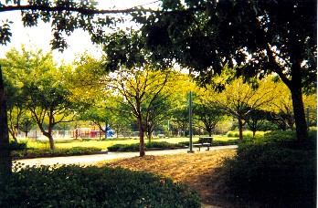 Nichols formal gardens before construxction  for the Fieldhouse