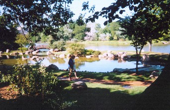 Osakd Garden from above south by the tea house