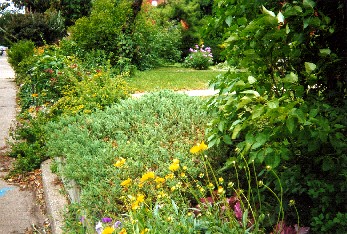 Dorchester gardens in southeast Hyde Park