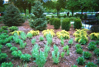 Midway Plaisance North Winter and Readers Garden