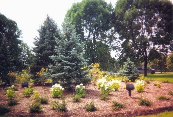 Midway Plaisance North Winter and Readers Garden