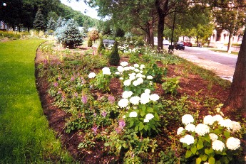 Midway Plaisance North Winter and Readers Garden