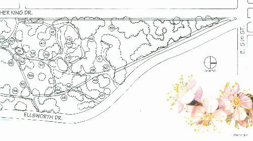 Washington Park Arboretum Map north