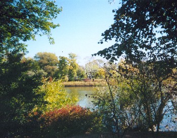 Jackson Park